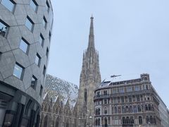 -斯蒂芬主教座堂(Stephansdom)