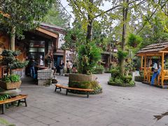 -青城甲(青城山店)