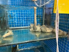 -杨记海鲜楼(三门黑金冠店)