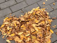 -巴依老爷新疆美食(工体旗舰店)