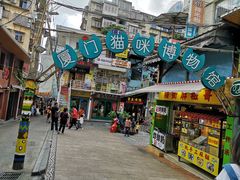 -猫咪博物馆(顶澳仔猫街店)