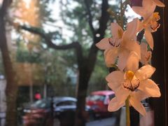 -金枝玉叶上海人家食府(三里河店)