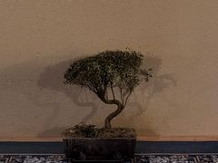 -苏浙徽·江南荟·本味融合菜(相城方圆里店)