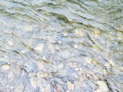 -怪潭漂流