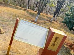 -盘龙城国家考古遗址公园