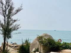 -广东惠东海龟国家级自然保护区