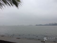-野狸岛