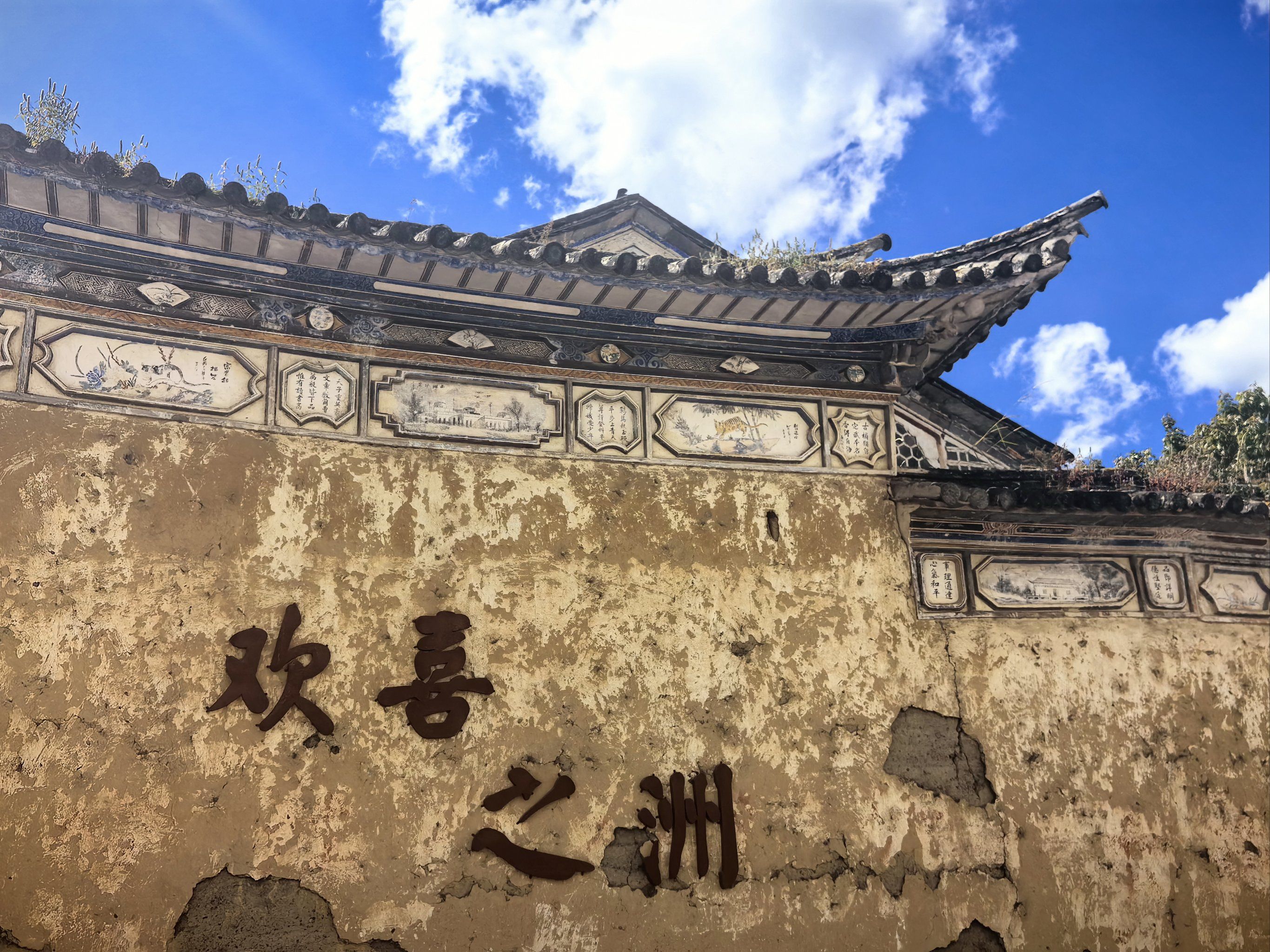 喜洲古镇麦田