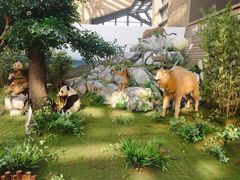 -西安大唐西市博物馆