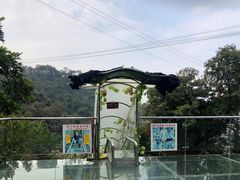 -南丹山森林王国