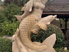 -天目湖涵田半山温泉