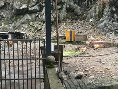 -途中饭店(开化店)