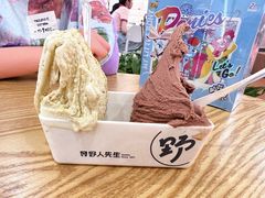 -野人先生Gelato(上海长宁龙之梦店)