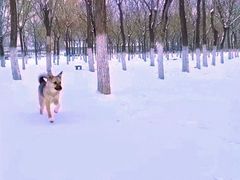 -槐房钓鱼公园
