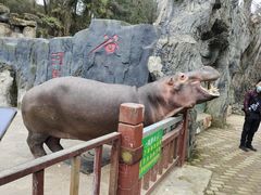 -贵州森林野生动物园
