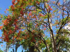 -柬埔寨国家博物馆