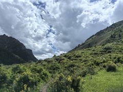 -山丹皇家马场
