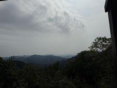 -大岭沟猕猴桃谷风景区