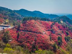 -木兰云雾山