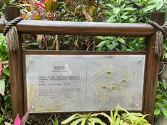 -厦门日月谷温泉渡假村