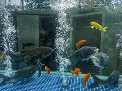 -又见炊烟私房菜(敬亭路店)