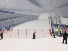 -哈尔滨热雪奇迹