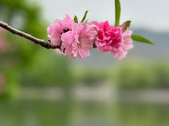 -国家植物园