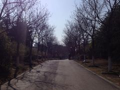 iphone_upload_pic-白塘生态植物园