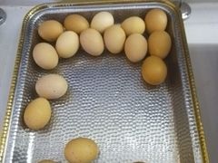 -尚荟汤泉生活馆