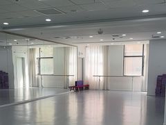 -西安小天鹅艺术团(金花路校区)