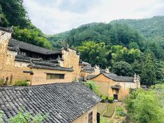 -杨家堂村