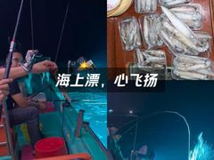 -盐洲岛