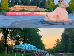 -永定河休闲森林公园