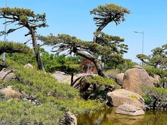 -罗红摄影艺术馆