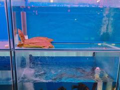 -一品江南韵·淮扬菜