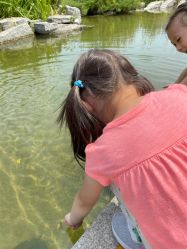 -大望京儿童游乐场