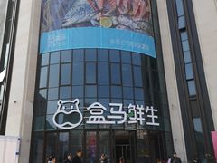 -盒马鲜生(领丰汇店)