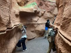 -陕西自然博物馆