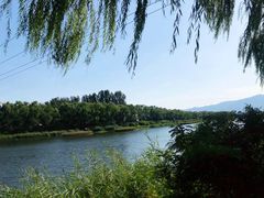 -亲兄弟真人CS团建拓展基地