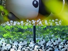 -杭州植物园