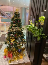 -史云逊养发护发