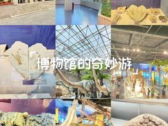 -国家自然博物馆