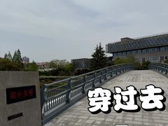 -嘉定紫藤园