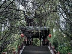 -棠湖公园