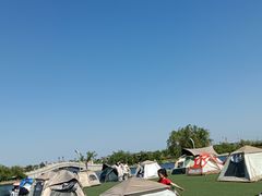 -孔子六艺文化园