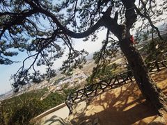 -北京西山国家森林公园