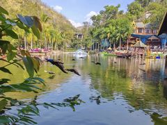 -西双版纳原始森林公园