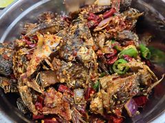 -风鑫铃罗非鱼(道沟店)