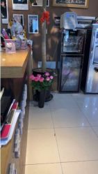 -巴黎时尚婚纱摄影(南汇店)