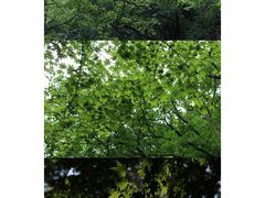 -关门山森林公园